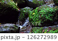 Stream with mossy stones 126272989