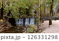 Man-Made Waterfall on a Forest River. Slow Motion 126331298