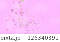 Flower petals falling, Slow Motion 126340391