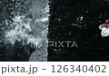 Flower falling over waterfall, Slow Motion 126340402