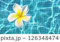 Slow Motion of Single Frangipani Flower Floating Above Tiled Swimming Pool 126348474