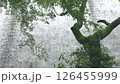 初夏から夏の爽やかな季節は、涼のとれるマイナスイオンいっぱいのダムへ行こう。 126455999