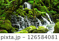 新鮮的綠色前瀑布水下的水 126584081