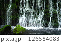 新鮮的綠色前瀑布水下的水 126584083
