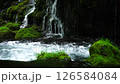 新鮮的綠色前瀑布水下的水 126584084