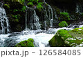 新鮮的綠色前瀑布水下的水 126584085