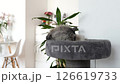 fluffy domestic cat lying on plush cat scratching tree against home interior background 126619733