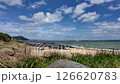 tranquil shore with ocean view and coastal grass 126620783
