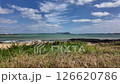 sunny beach scene with grassy dunes and ocean horizon 126620786
