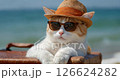 cat tourist in sunglasses standing with suitcase going on summer holiday trip 126624282