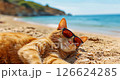 Funny cat lying on beach sand relaxing on the sea shore. 126624285
