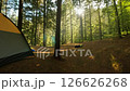 Small tent is set up in a forest 126626268