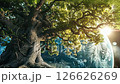 Tree with a large trunk and many branches is surrounded by a blue sky 126626269