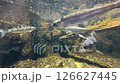一群虹鱒魚在河裡游泳的水下鏡頭 126627445