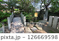 Takasago Shrine's stone bridge and shrine-02 126669598