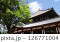 Todaiji Temple Great Buddha Hall and fresh greenery (Nara City) 126771004
