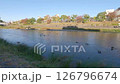 Kyoto, along the Kamo River 126796674