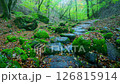 Ogawa and Forest 126815914