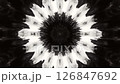 Black and white of a circular object kaleida animation 126847692