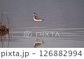 Waterside Dancer Stilt 126882994
