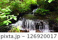 道西川上的小瀑布 126920017