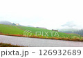 Rainy autumn landscape with asphalt roadside and fog over in green rolling fields 126932689