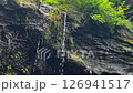 岩清水 126941517
