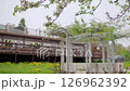 White Gazebo family recreation with spring leaves blossoming apple trees. Recreation dining areas next to dining rooms restaurants on terrace and in open air. Landscaping of local area, 4K 126962392