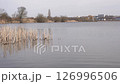Serene lake view with reeds and a swimming bird, against the backdrop of a city. Nature meets urban in this tranquil landscape scene. 126996506