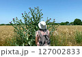 Tourist examines huge thistle bush. Rear view: huge size of plant surprises tourist. Concept: life is varied and consists of moments, enjoy every moment like this tourist enjoys thistle and wheat 127002833