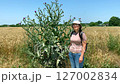 Eco-tourist next to huge thistle in wheat field. Wide shot: eco-tourist lady near tall thistle in wheat field. Concept: eco-tourist can get to know world around him more fully and see something new 127002834