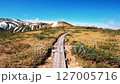 Boardwalk on Mount Yakushi in the Northern Alps in early summer 127005716