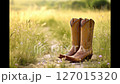 A pair of classic brown cowboy boots standing on a dirt path in a sunlit field with wildflowers and tall grass. 127015320