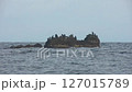 海鳥が集まる海の上の岩 127015789