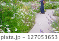 様々な草や花が咲き乱れる庭園の遊歩道で写真を撮る女性（綾瀬市 光綾公園「あやせローズガーデン） 127053653