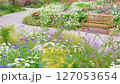 様々な草や花が咲き乱れる、ベンチのある美しい庭園（神奈川県綾瀬市 光綾公園「あやせローズガーデン」） 127053654