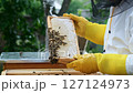 A beekeeper works with the bees and the hives in the apiary. a man in a protective suit at the apiary. Employee pulls the frame from the hive. a man pulls out the honeycomb with honey. Summer harvest 127124973