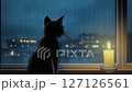 Cat watches the rain fall while a candle burns softly at night 127126561