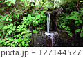 道西川的水 127144527