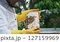 A beekeeper works with the bees and the hives in the apiary. a man in a protective suit at the apiary. Employee pulls the frame from the hive. a man pulls out the honeycomb with honey. Summer harvest 127159969