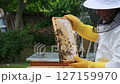 A beekeeper works with the bees and the hives in the apiary. a man in a protective suit at the apiary. Employee pulls the frame from the hive. a man pulls out the honeycomb with honey. Summer harvest 127159970