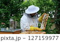 A beekeeper works with the bees and the hives in the apiary. a man in a protective suit at the apiary. Employee pulls the frame from the hive. a man pulls out the honeycomb with honey. Summer harvest 127159977