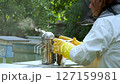A beekeeper works with the bees and the hives in the apiary. a man in a protective suit at the apiary. 127159981