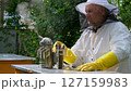 A beekeeper works with the bees and the hives in the apiary. a man in a protective suit at the apiary. 127159983