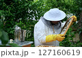 A beekeeper works with the bees and the hives in the apiary. a man in a protective suit at the apiary. Employee pulls the frame from the hive. a man pulls out the honeycomb with honey. Summer harvest 127160619