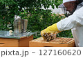 A beekeeper works with the bees and the hives in the apiary. a man in a protective suit at the apiary. Employee pulls the frame from the hive. a man pulls out the honeycomb with honey. Summer harvest 127160620