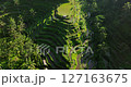 Bali rice terrace fields aerial drone Tegallalang Ubud sunny morning 127163675