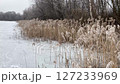 movement on the ice of a frozen river past frosted reeds swaying in the wind winter landscape 127233969