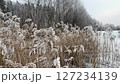 movement on the ice of a frozen river past frosted reeds swaying in the wind winter landscape 127234139