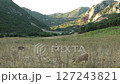 Pastoral Mountain Landscape with Grazing Goats Pastoral Mountain Landscape with Grazing Goats 127243821